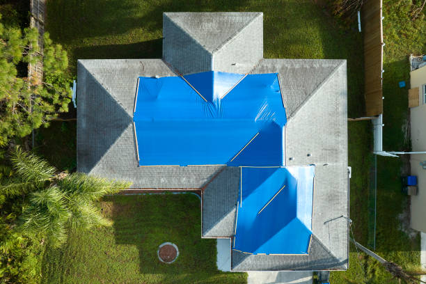Best Roof Insulation Installation  in Mascotte, FL