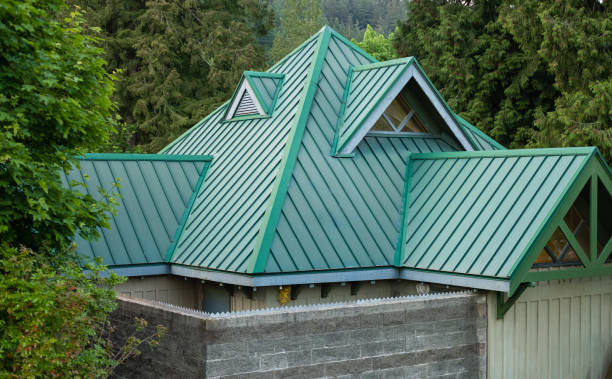Best Sheet Metal Roofing  in Mascotte, FL