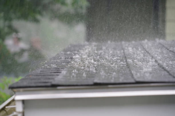 Best Roof Installation  in Mascotte, FL