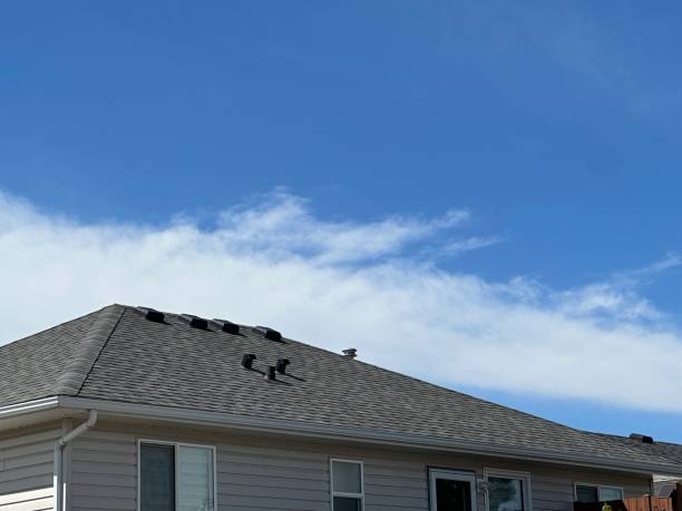 Best Roofing for New Construction  in Mascotte, FL