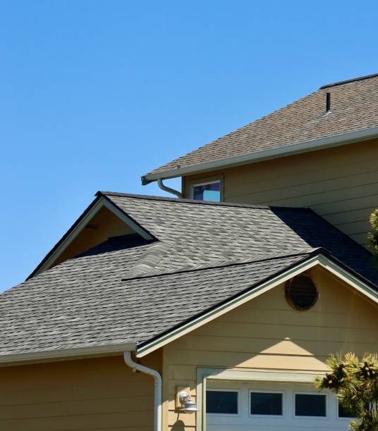 Best Asphalt Shingle Roofing  in Mascotte, FL